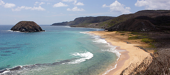 Resultado de imagem para plÃ¡sticos em fernando de noronha