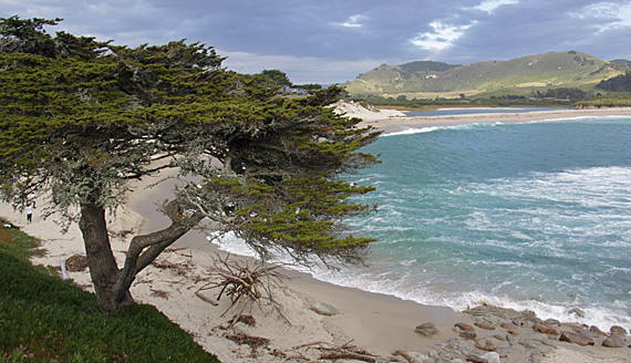 Carmel-by-the-Sea