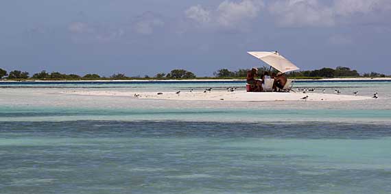 Francisquí, Los Roques