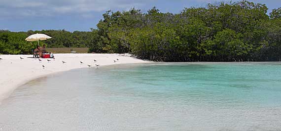 Francisquí, Los Roques