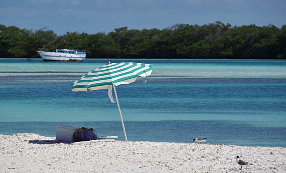 Francisquí, Los Roques