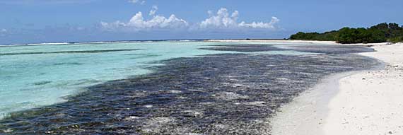 Francisquí, Los Roques