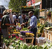 Columbia Road Flower Market