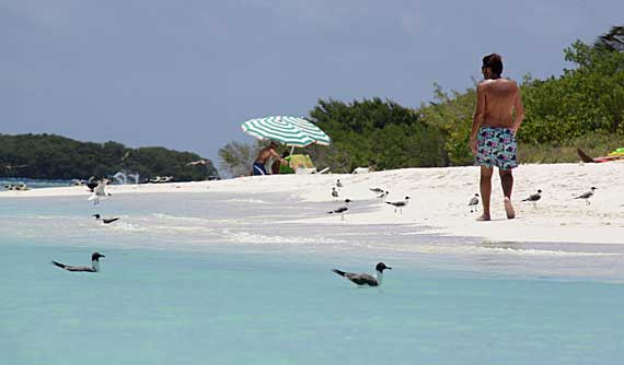 Madrisquí, Los Roques