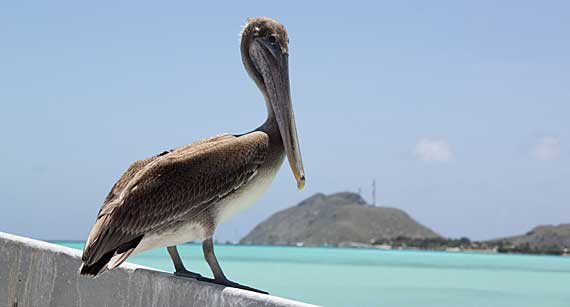 Madrisquí, Los Roques