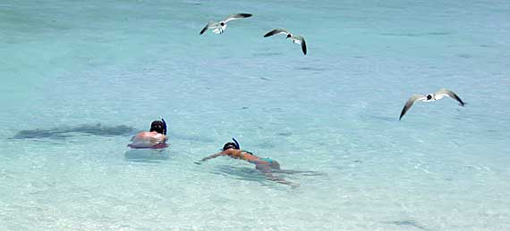 Madrisquí, Los Roques