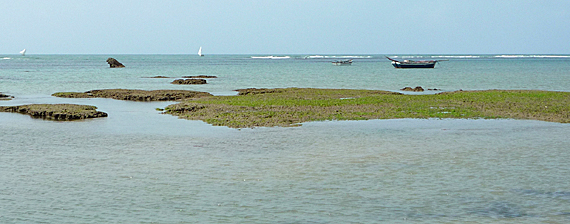 Piscinas naturais de Guajiru, Ceará