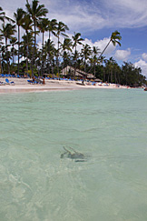 Barceló Dominican, Punta Cana