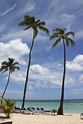 Barceló Dominican, Punta Cana