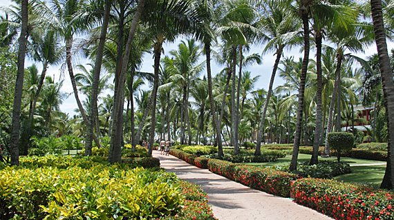 Jardins entre Iberostar Dominicana e Iberostar Punta Cana