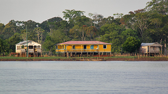 Casas ao longo do Solimões