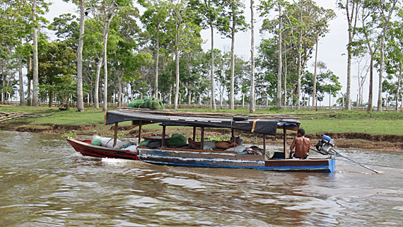 Rio Solimões, Amazonas