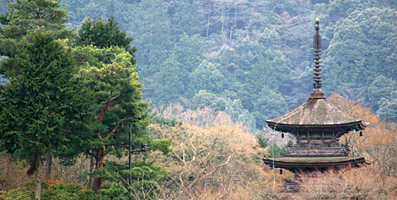 Kyoto, Japão