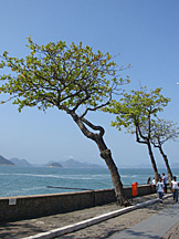 Forte de Copacabana