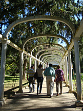 Jardim Botânico, Rio