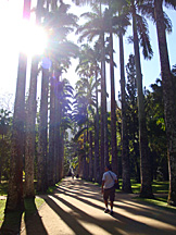 Jardim Botânico, Rio