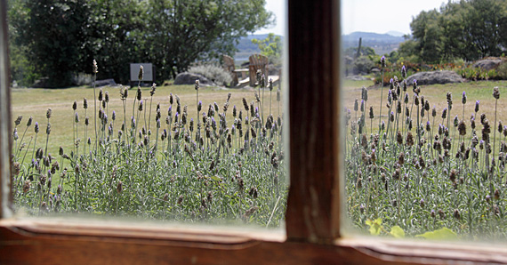 Hotel Fasano Las Piedras