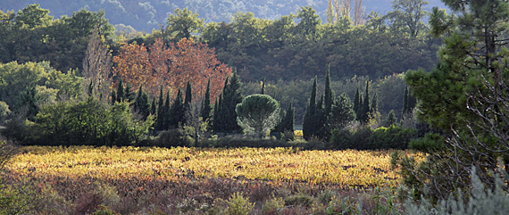 Outono na Provence