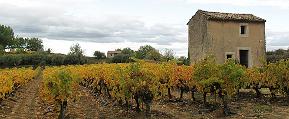 Outono na Provence