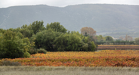 Côte d'Azur e Provence: estratégia de viagem 1