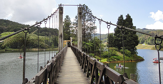 Medellín