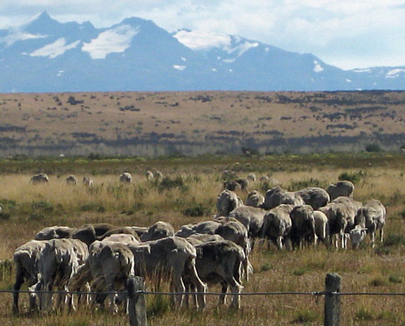 Estancia Cerro Guido