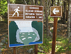 Caminho ao Glaciar Serrano