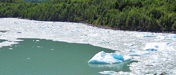 Glaciar Serrano