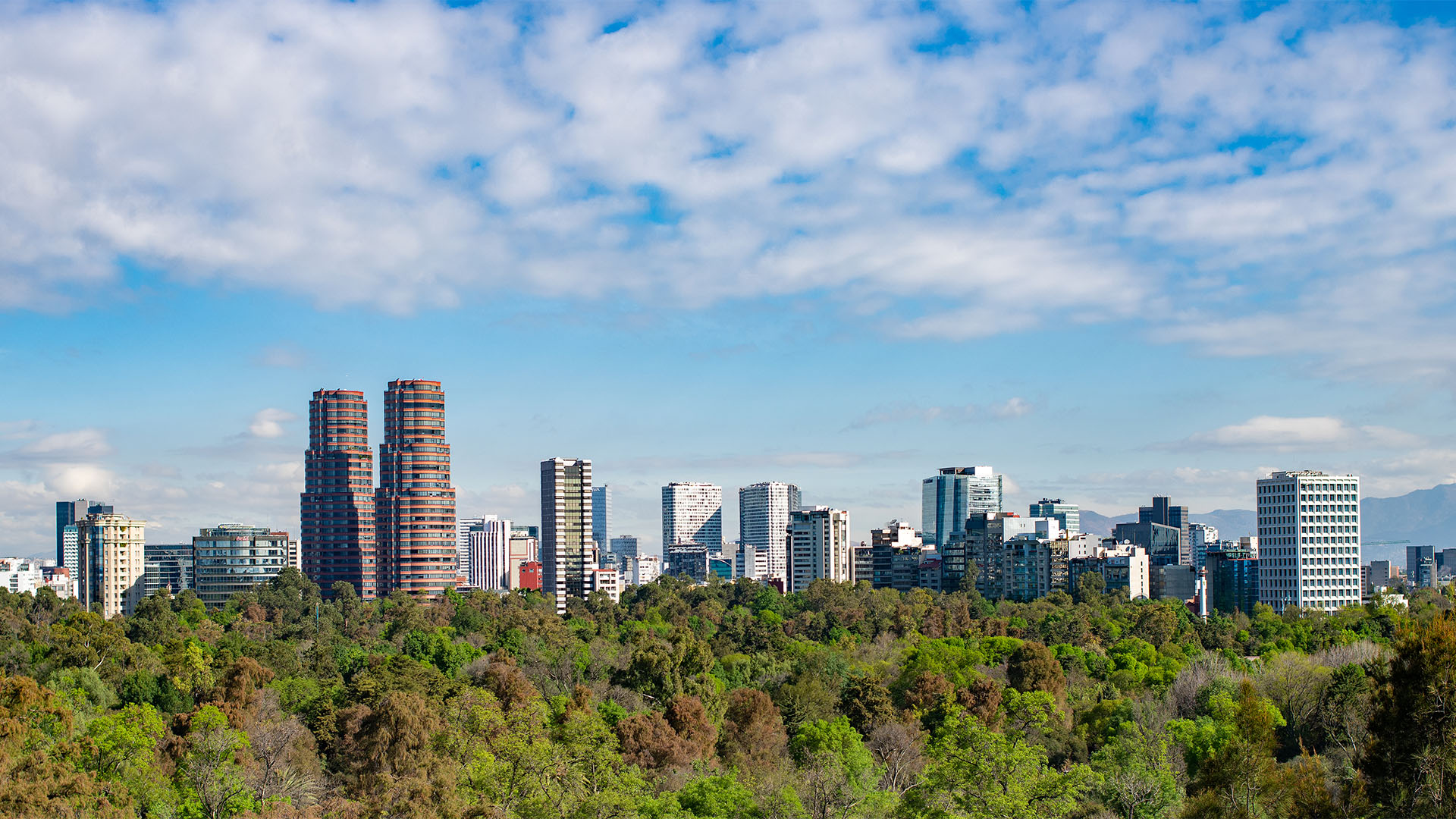 5 passeios duplos na Cidade do México 2 5 passeios na Cidade do México