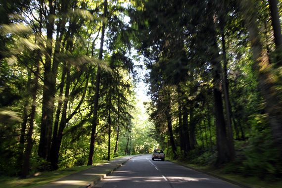 Stanley Park Vancouver