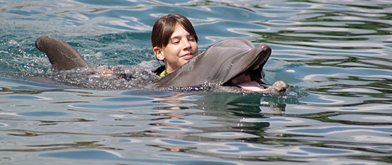 Tem como nadar com golfinho no Brasil?