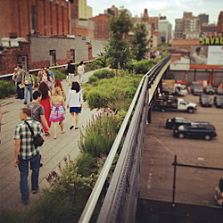 High Line Elevated Park - O parque suspenso de Nova York