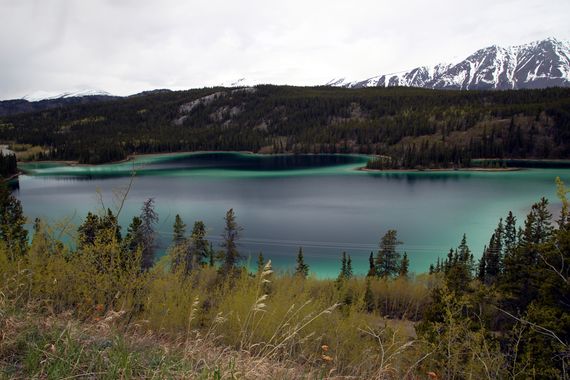 Emerald lake Canada