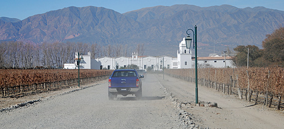 Bodega El Esteco. Foto: Gustavo Belli