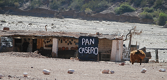 Ruta del Vino, Salta-Cafayate. Foto: Gustavo Belli