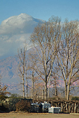 El Esteco, Cafayate. Foto: Gustavo Belli