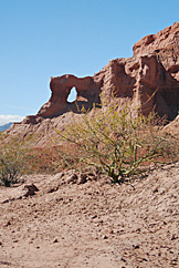 Ruta del Vino, Salta-Cafayate. Foto: Gustavo Belli