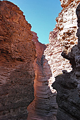 Ruta del Vino, Salta-Cafayate. Foto: Gustavo Belli