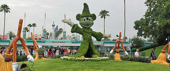 Supermercados de Orlando: guia prático - Vai pra Disney?