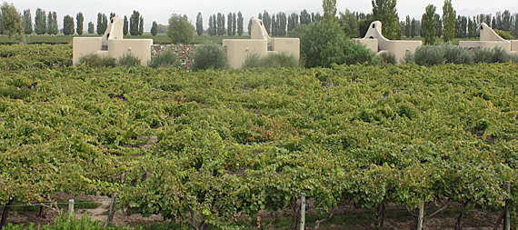 Cavas Wine Lodge, Mendoza