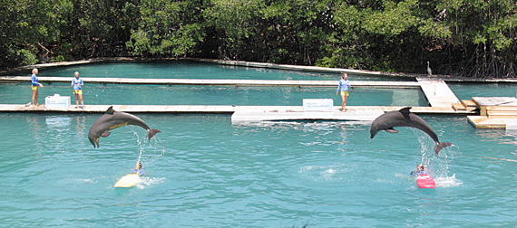 Seaquarium Miami