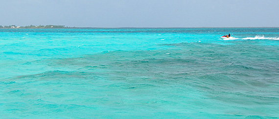 Stingray City, Grand Cayman