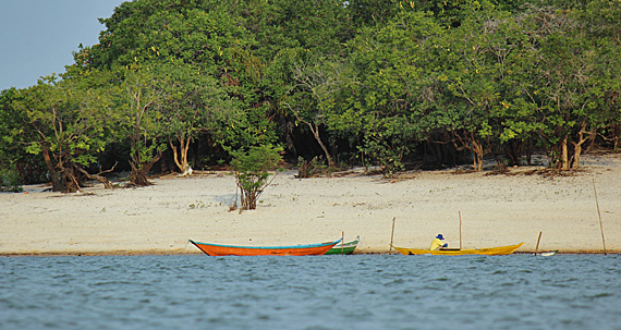 Alter-do-Chão, Pará