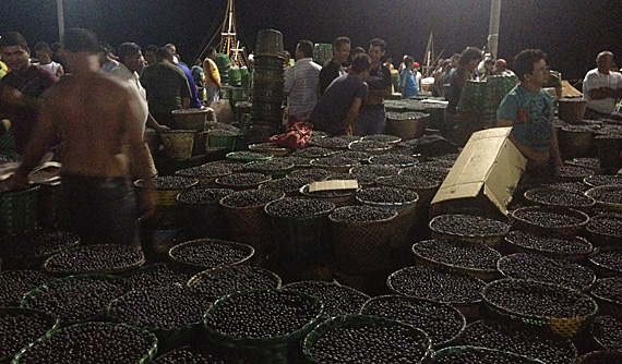 Feira do Açaí