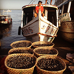 Feira do Açaí