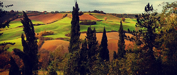 Laticastelli, Rapolano Terme