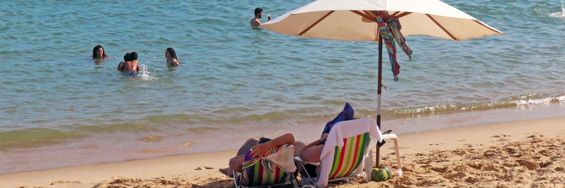 Guia de praias da Bahia: Praia do Forte e Litoral Norte