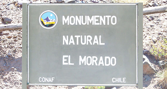 El Morado