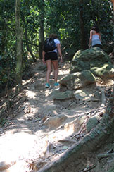 Trilha Morro da Urca