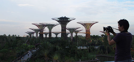 Gardens by the Bay